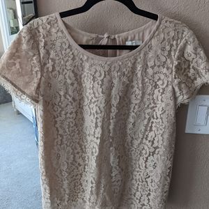 Joie tan lace short sleeves blouse